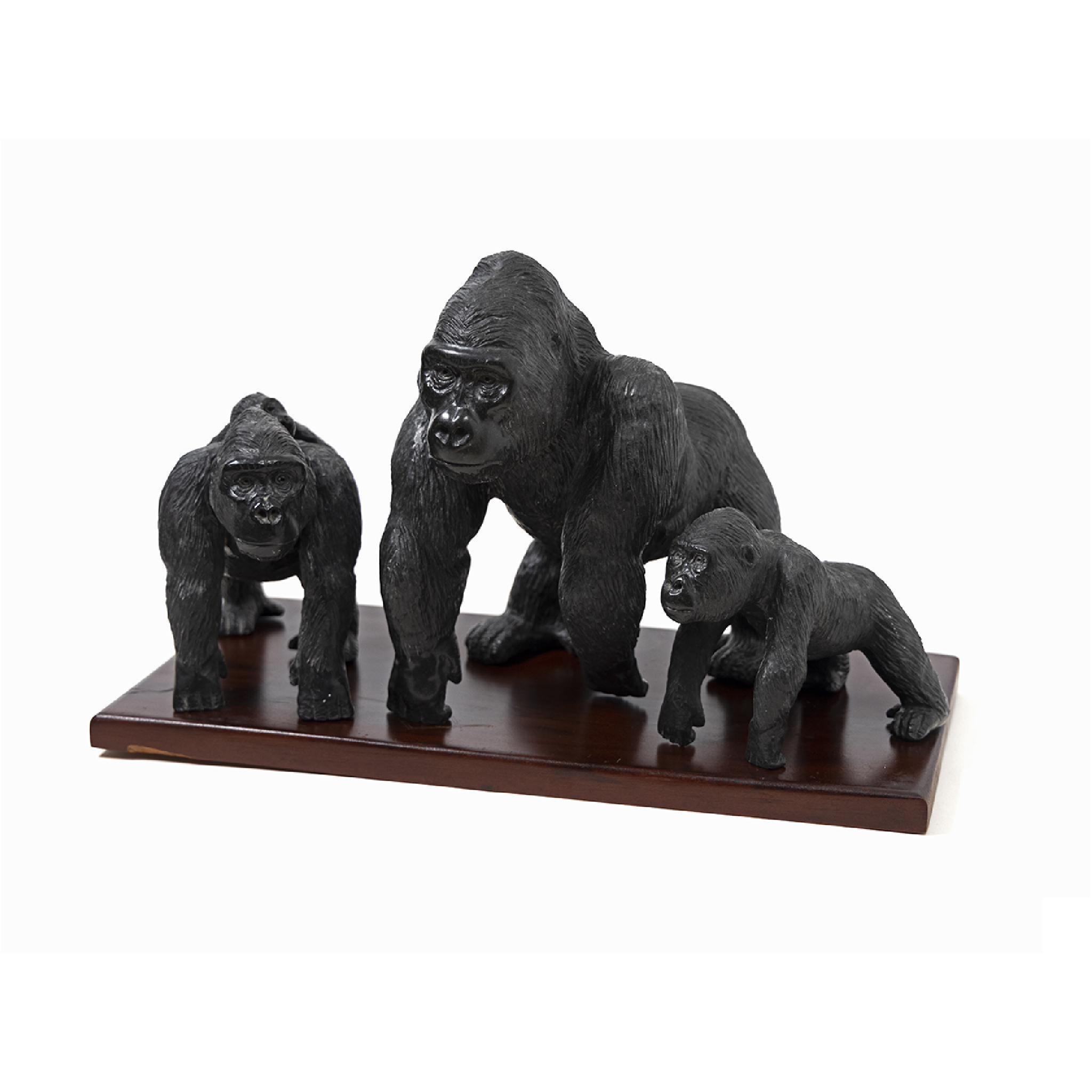 GORILLA FAMILY