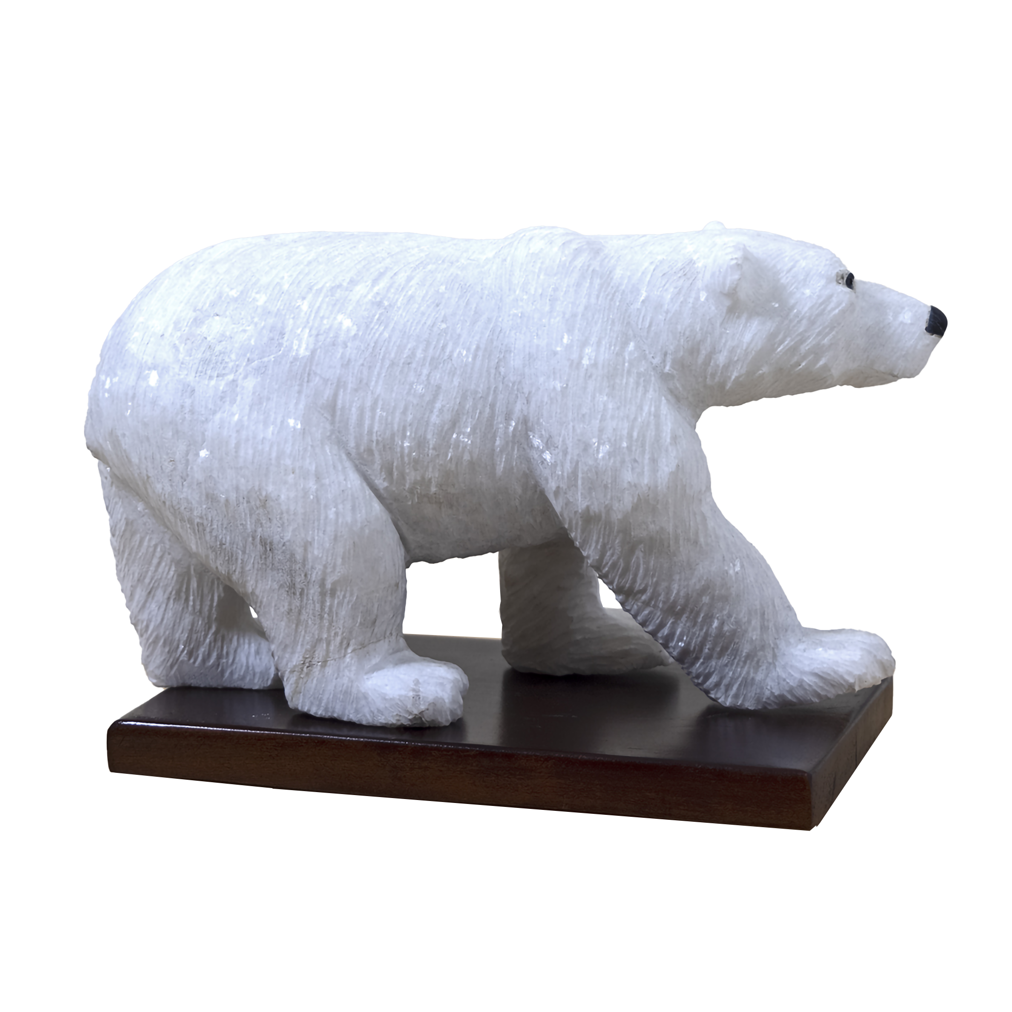 POLAR BEAR