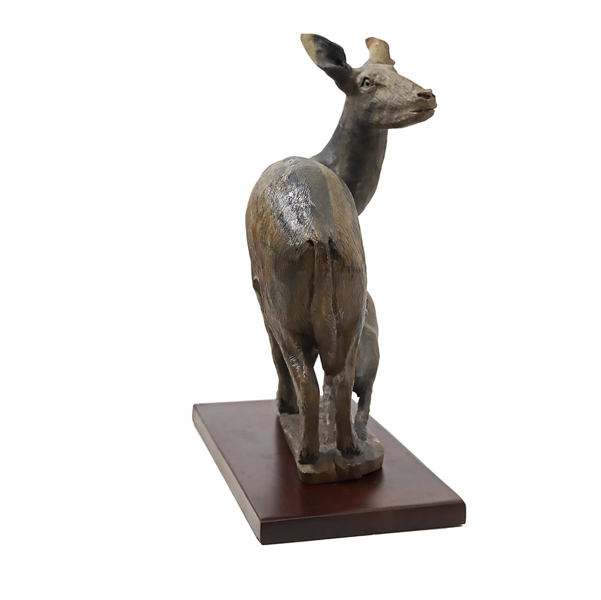 IMPALA MOTHER & YOUNG