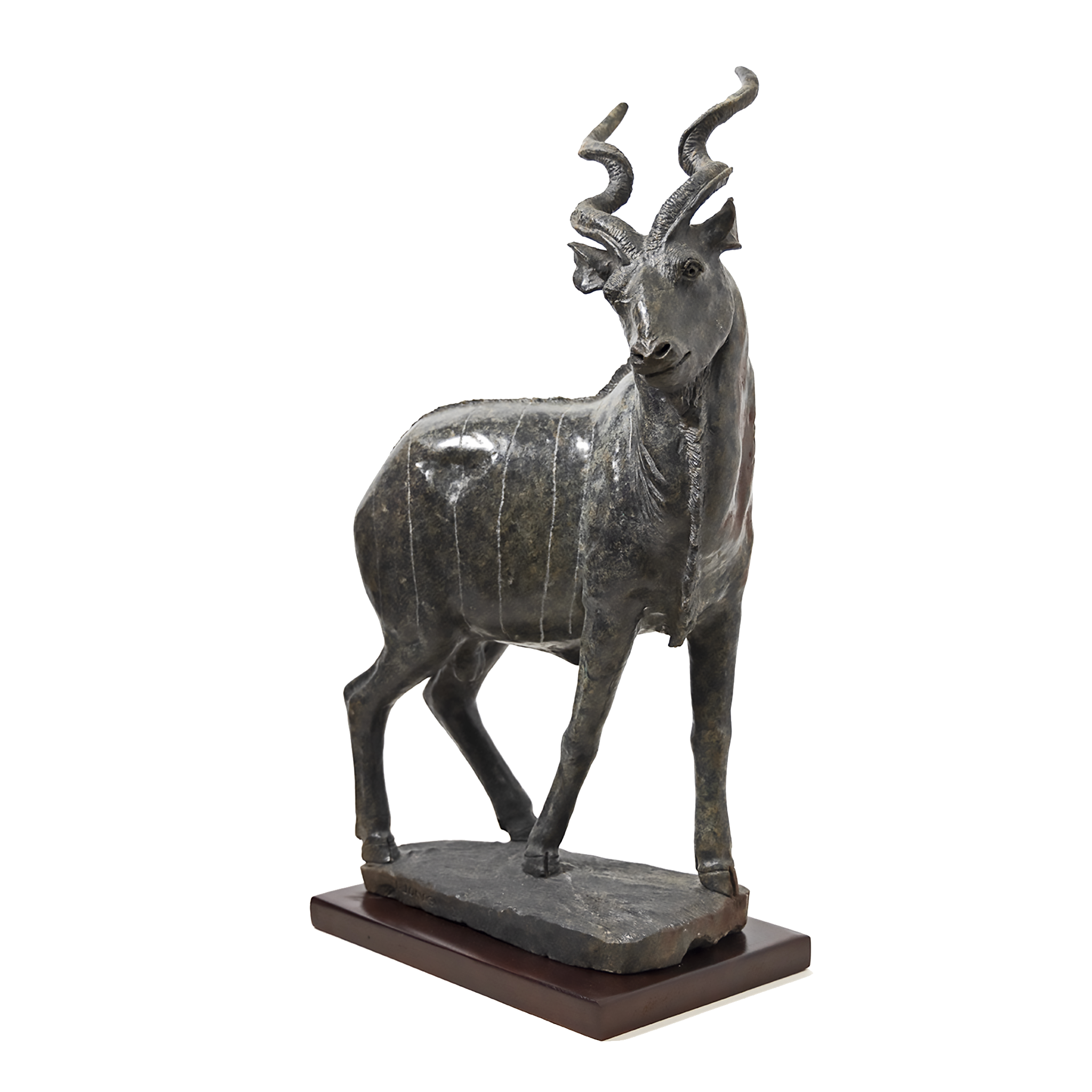 KUDU BUCK