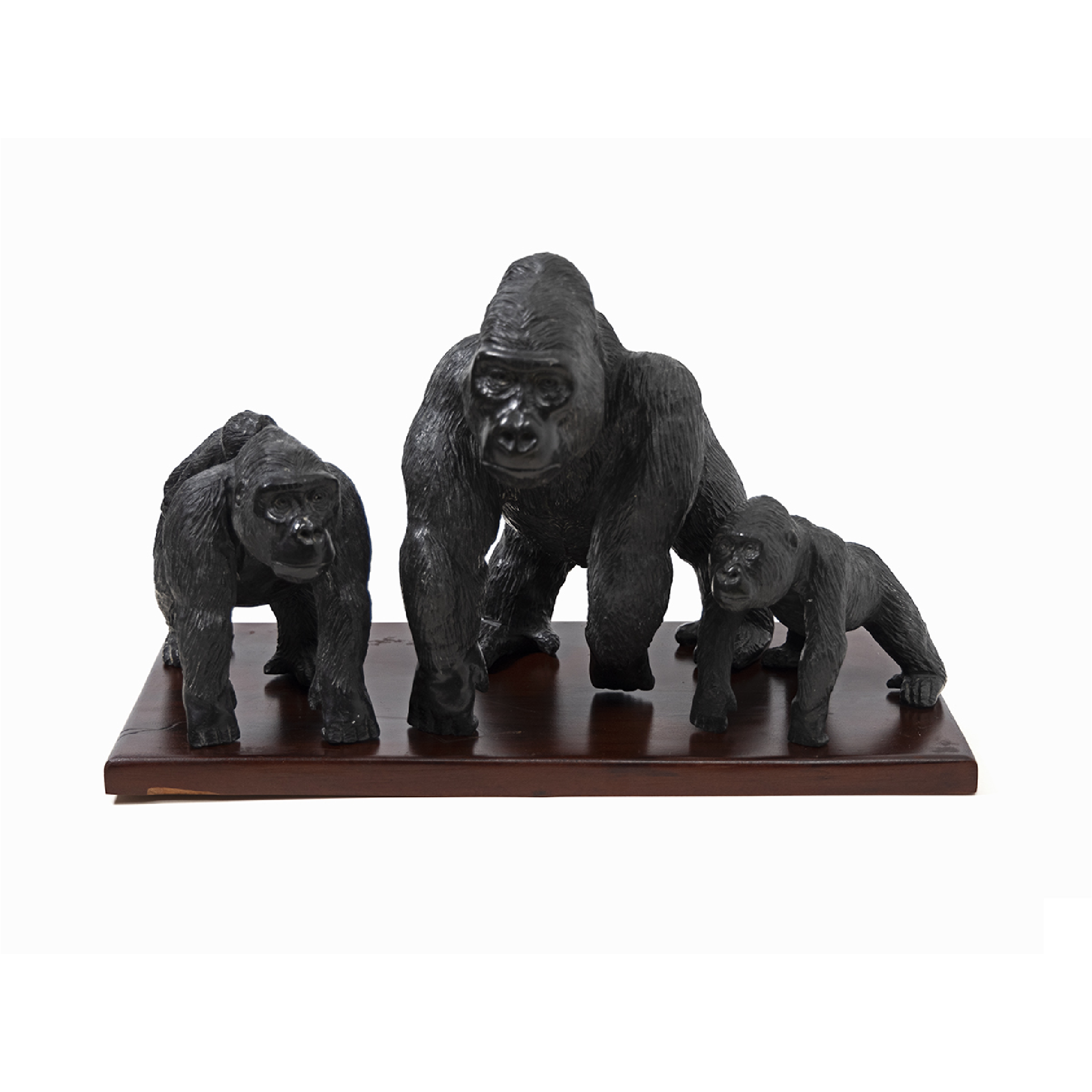 GORILLA FAMILY