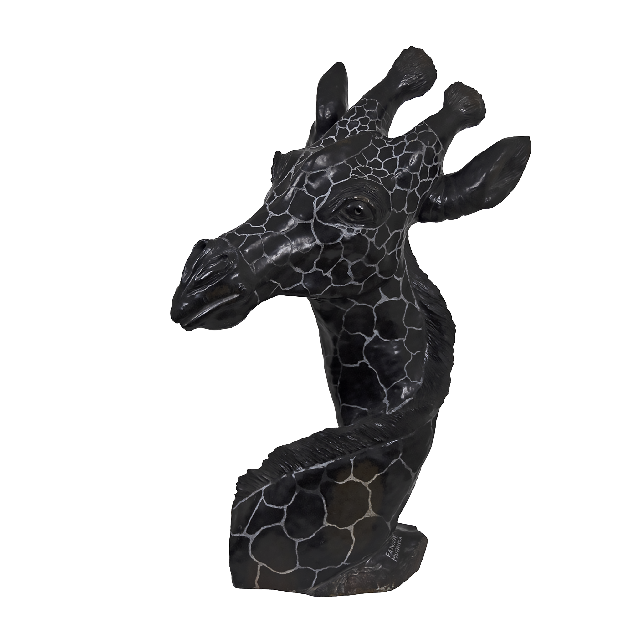GIRAFFE Taxidermy South Africa | Get GIRAFFE Trophy Quote