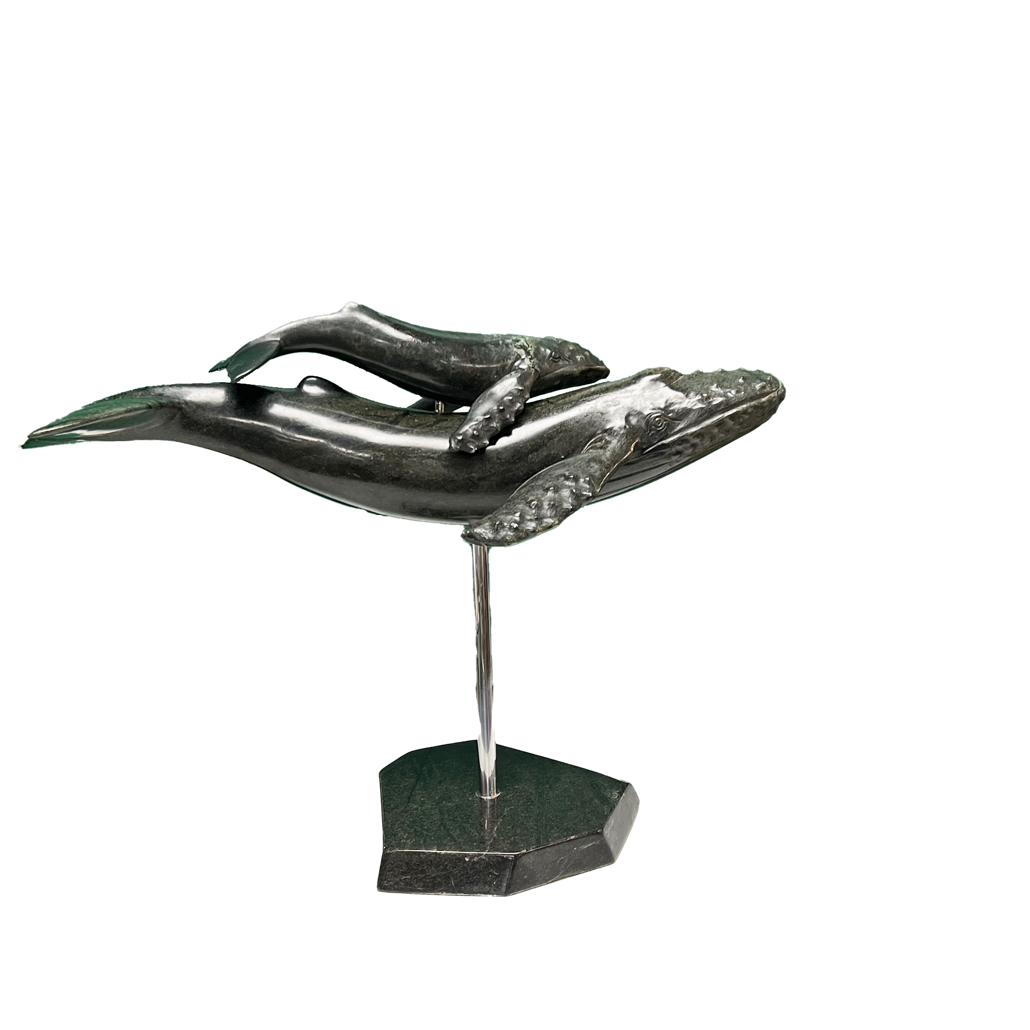 HUMPBACK WHALE & YOUNG