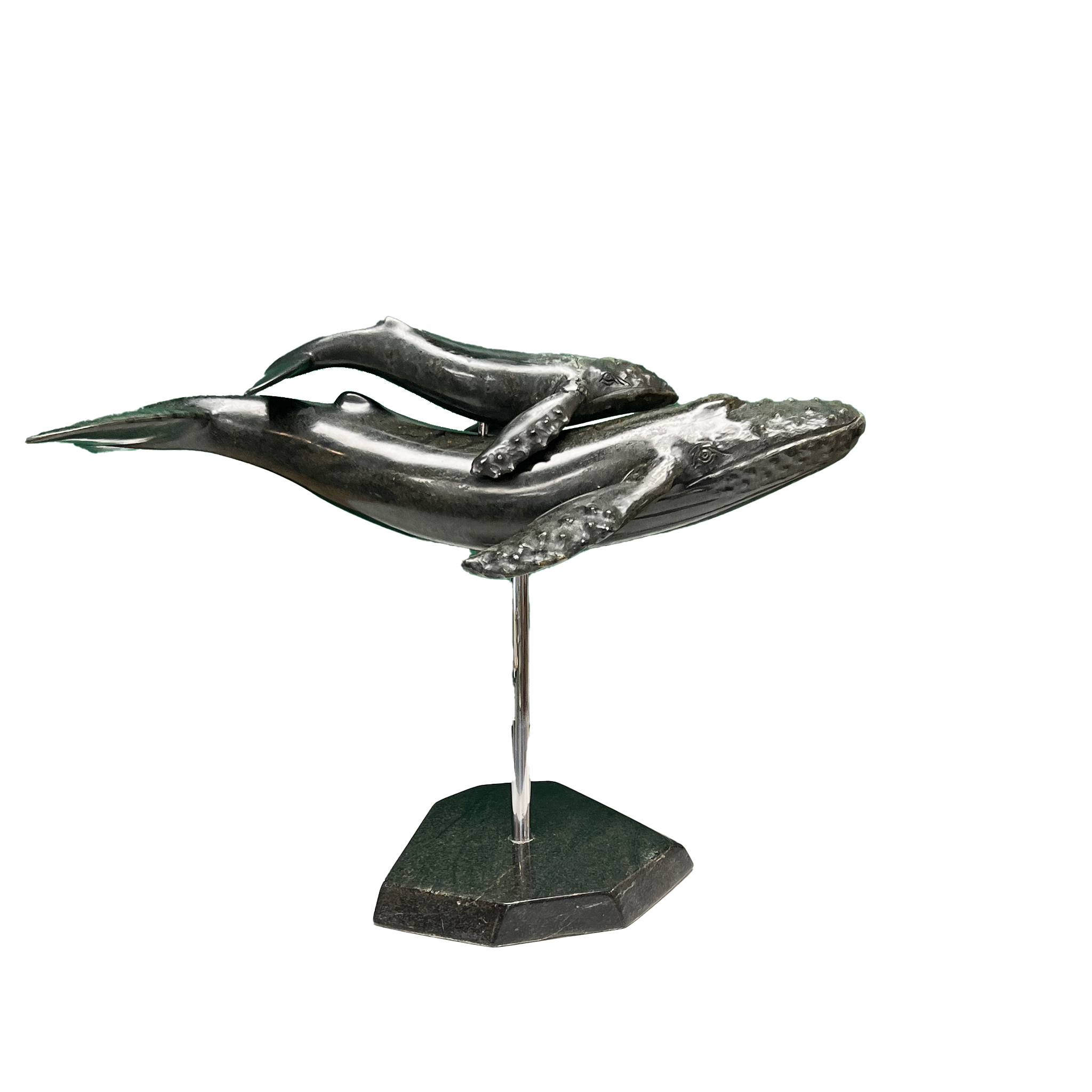 HUMPBACK WHALE & YOUNG