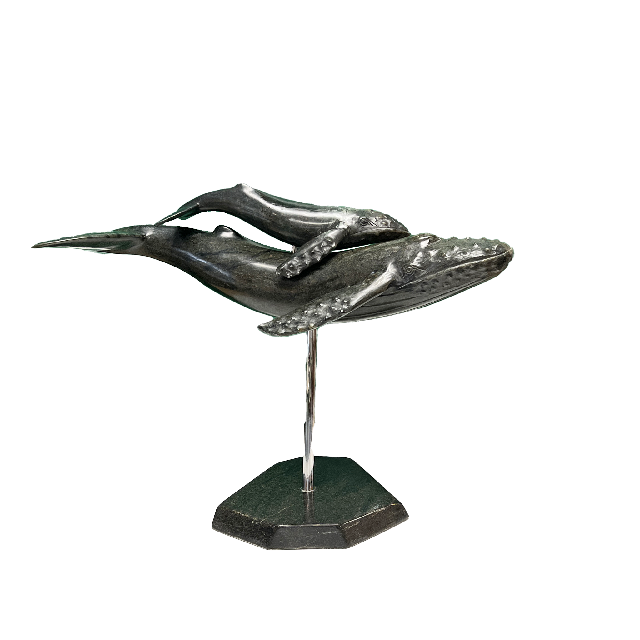 HUMPBACK WHALE & YOUNG