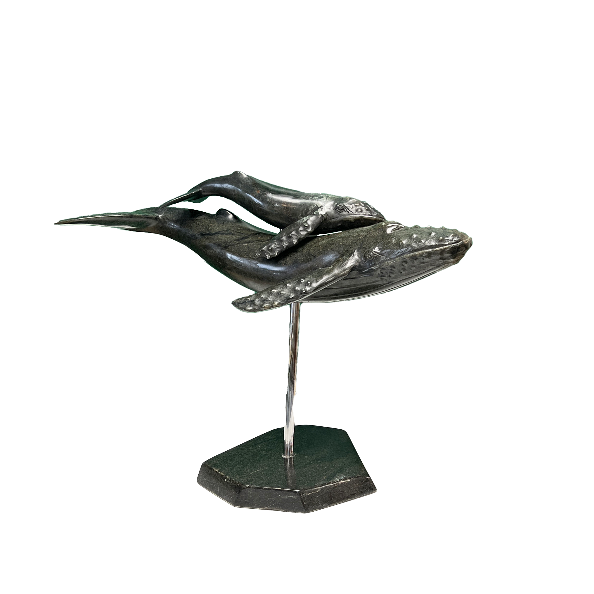 HUMPBACK WHALE & YOUNG