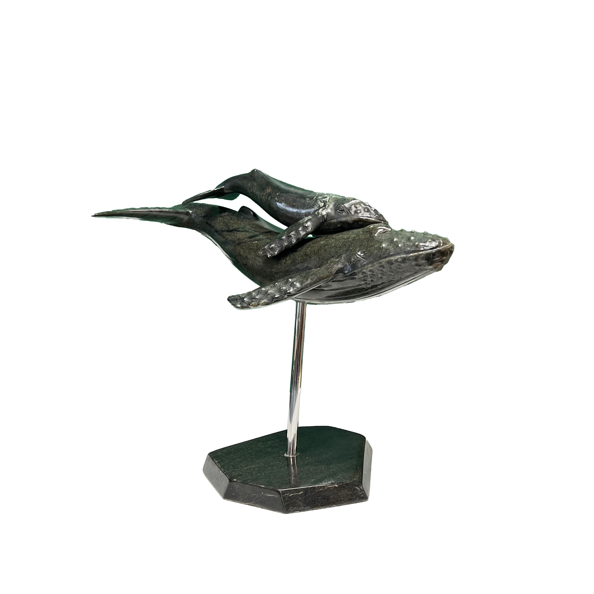 HUMPBACK WHALE & YOUNG