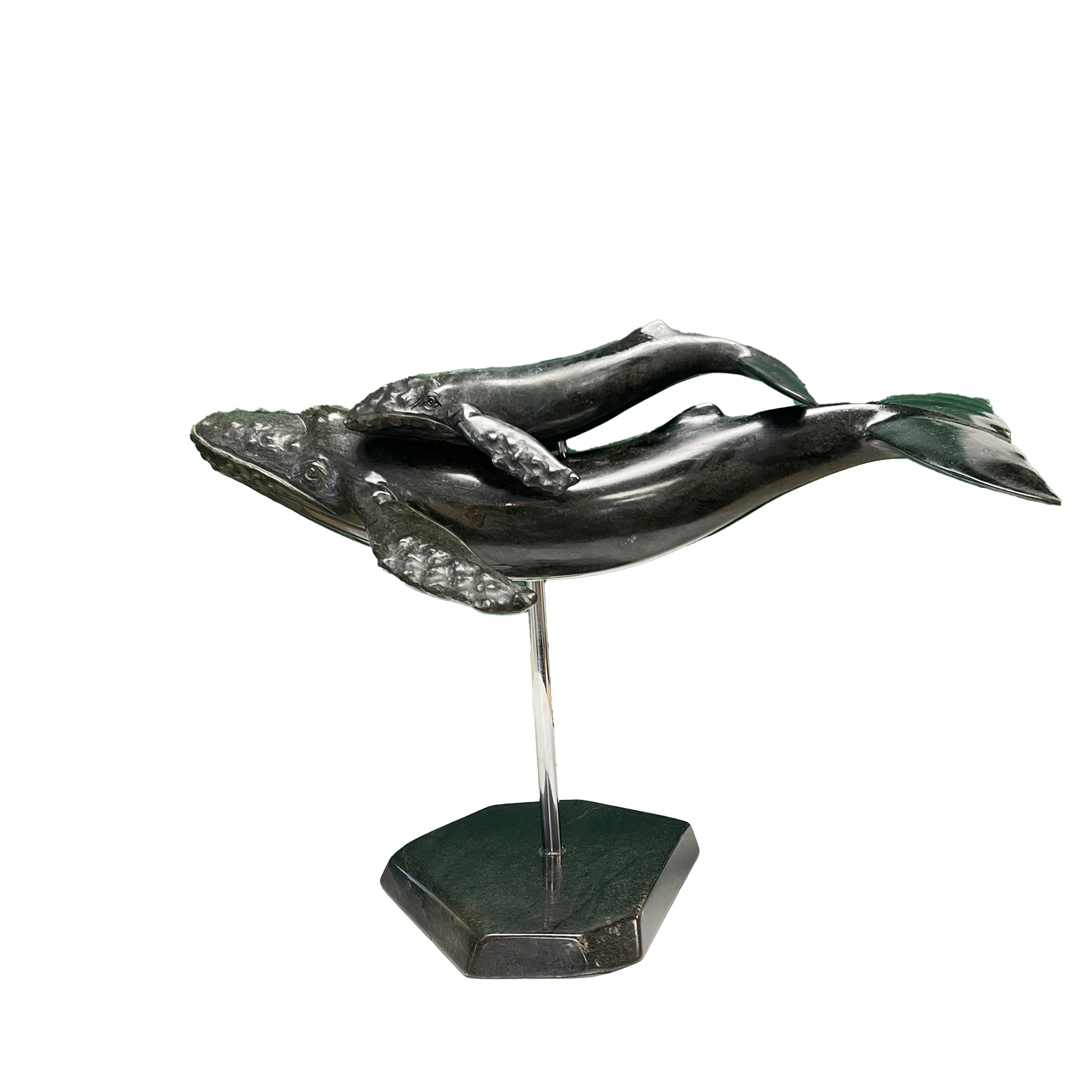 HUMPBACK WHALE & YOUNG