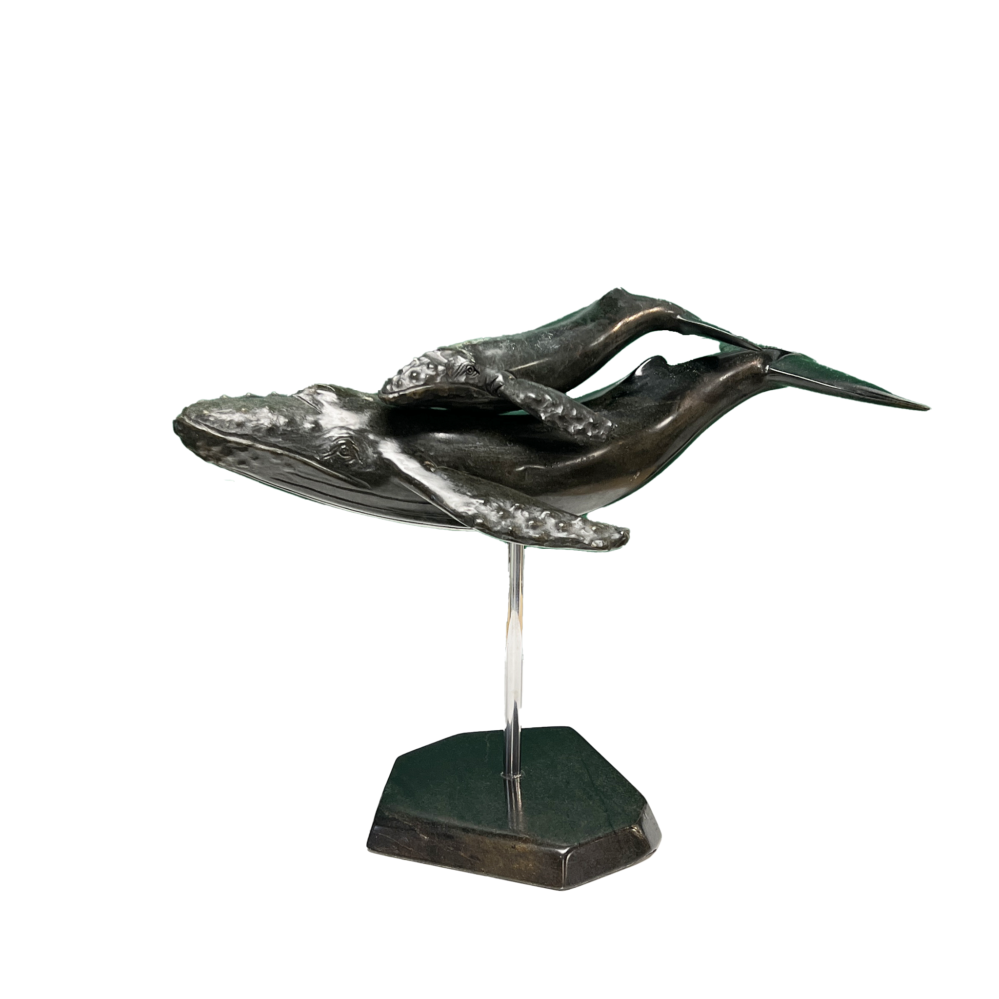 HUMPBACK WHALE & YOUNG