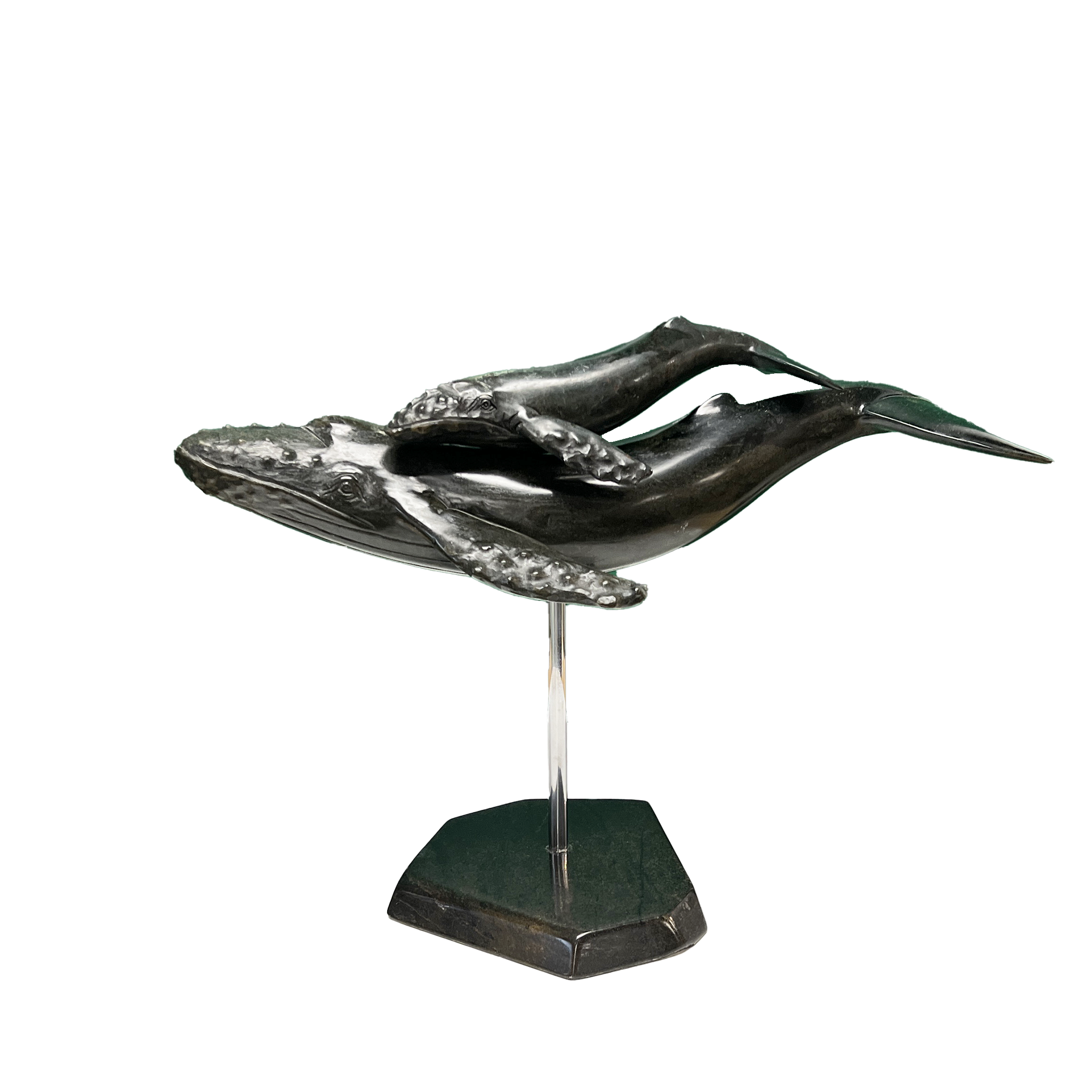 HUMPBACK WHALE & YOUNG