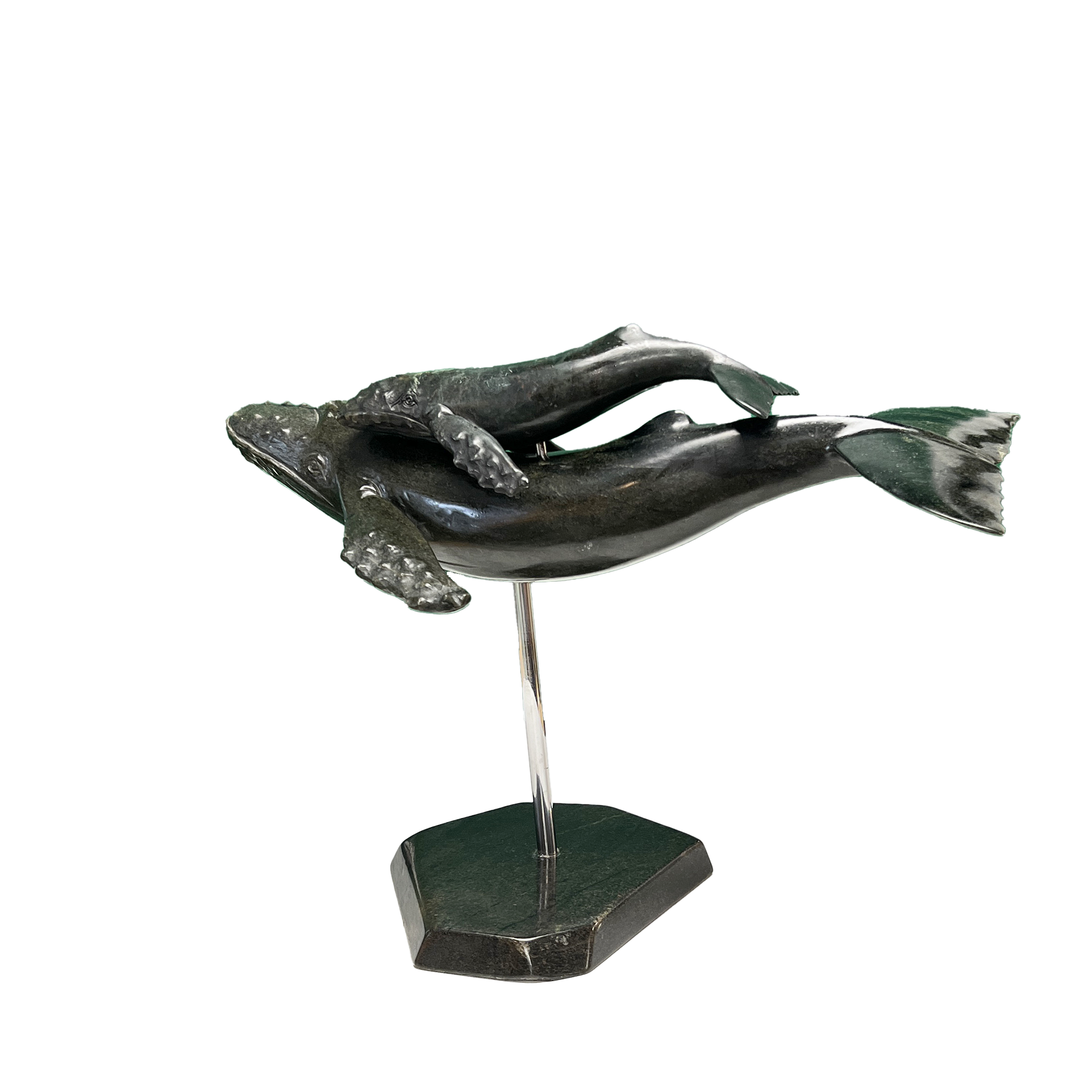 HUMPBACK WHALE & YOUNG