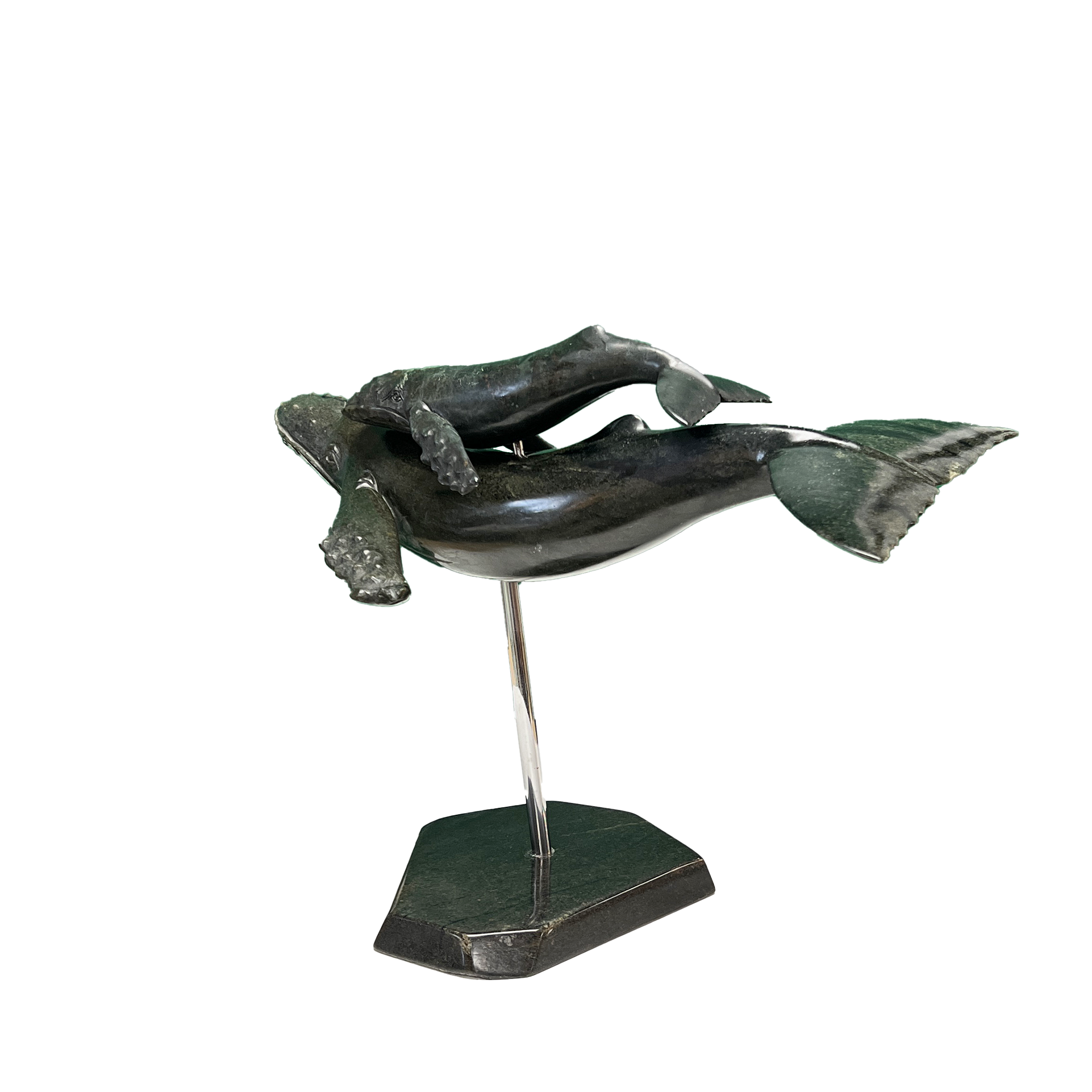 HUMPBACK WHALE & YOUNG