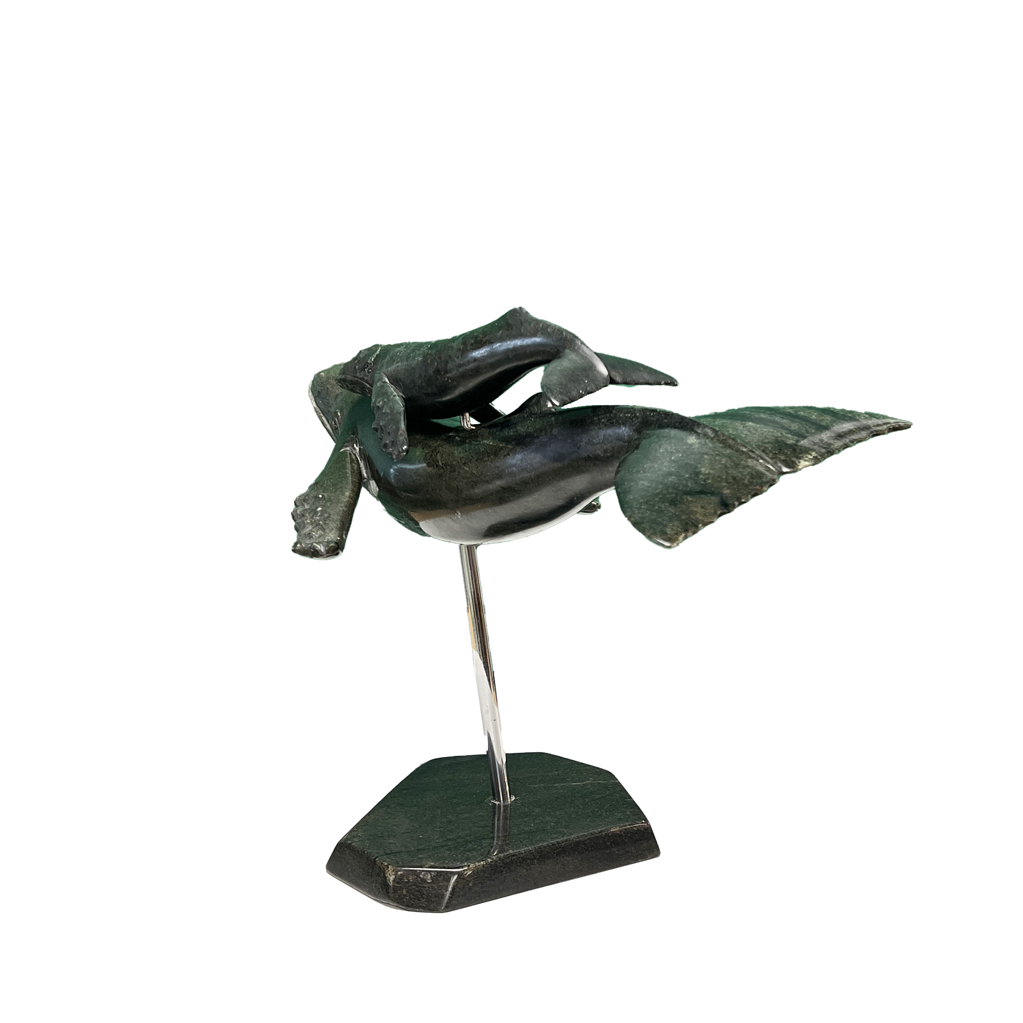 HUMPBACK WHALE & YOUNG