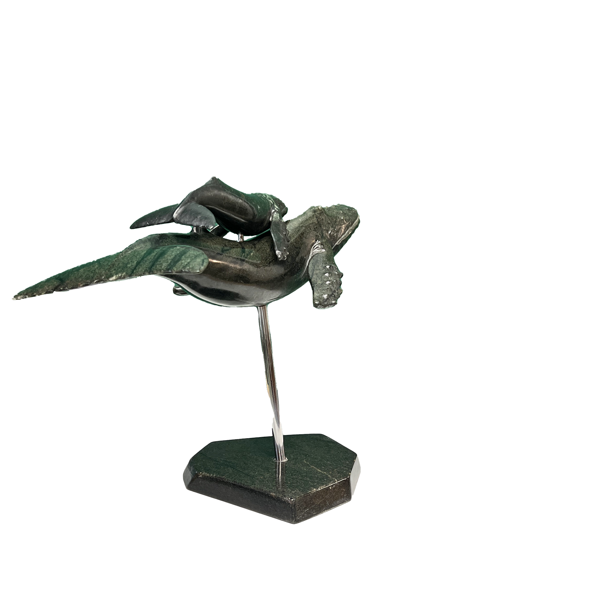 HUMPBACK WHALE & YOUNG