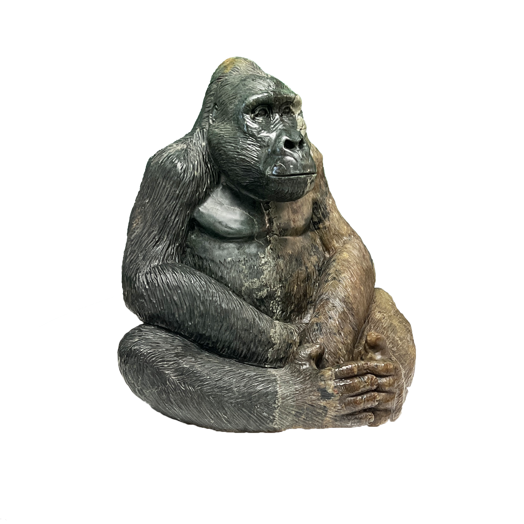 GORILLA