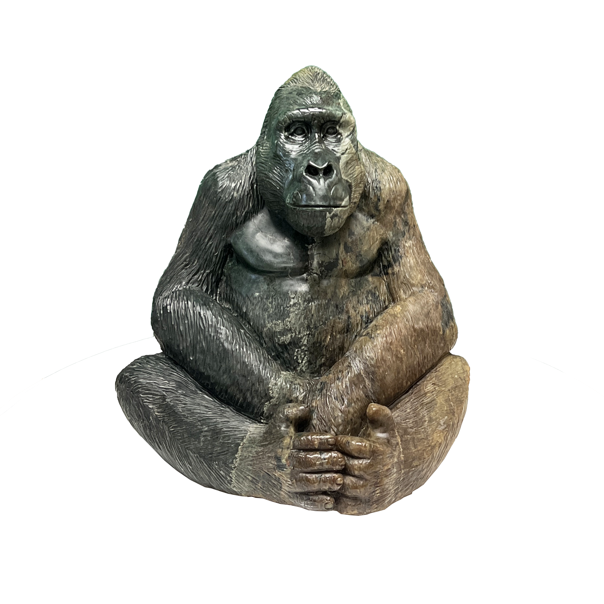 GORILLA