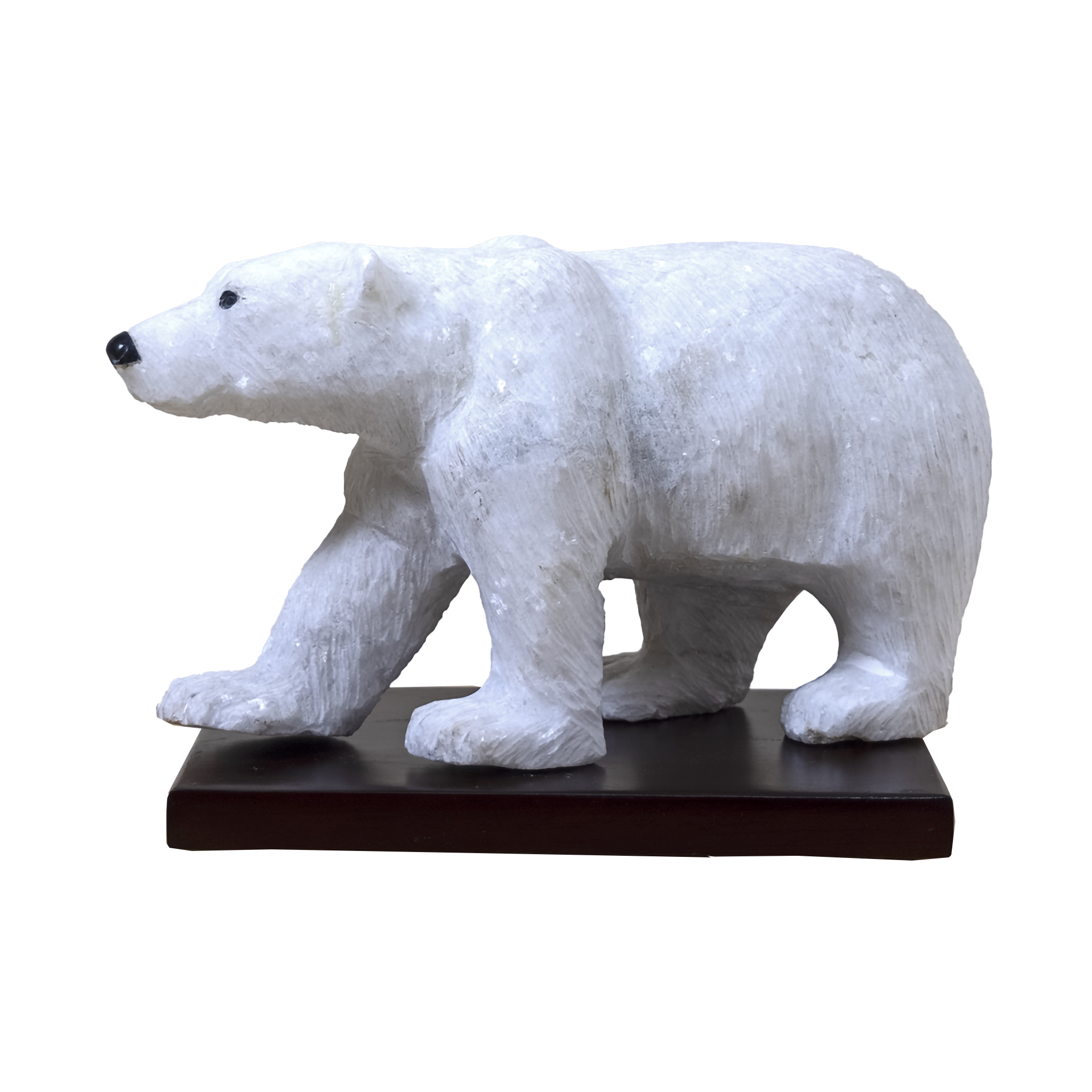 POLAR BEAR
