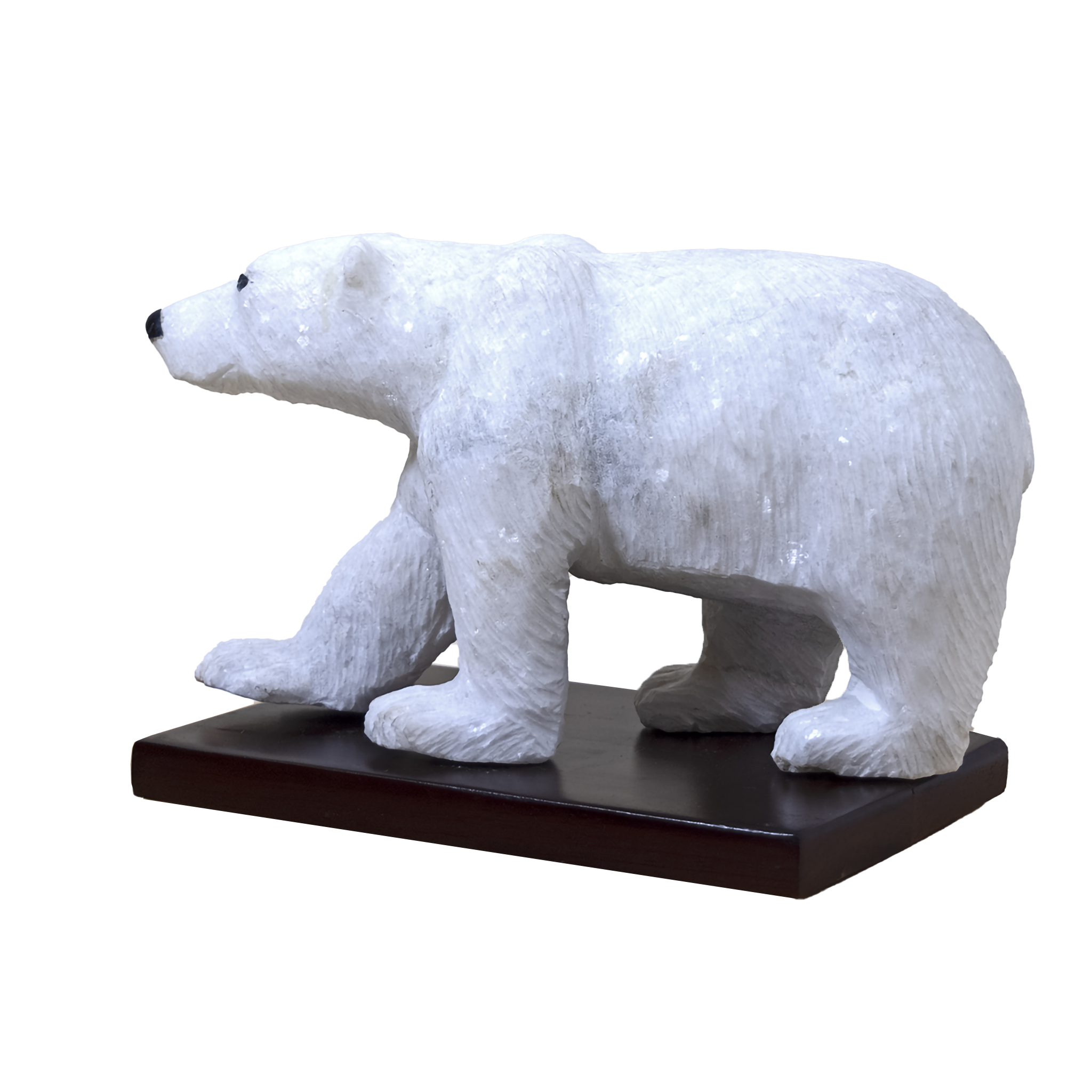 POLAR BEAR