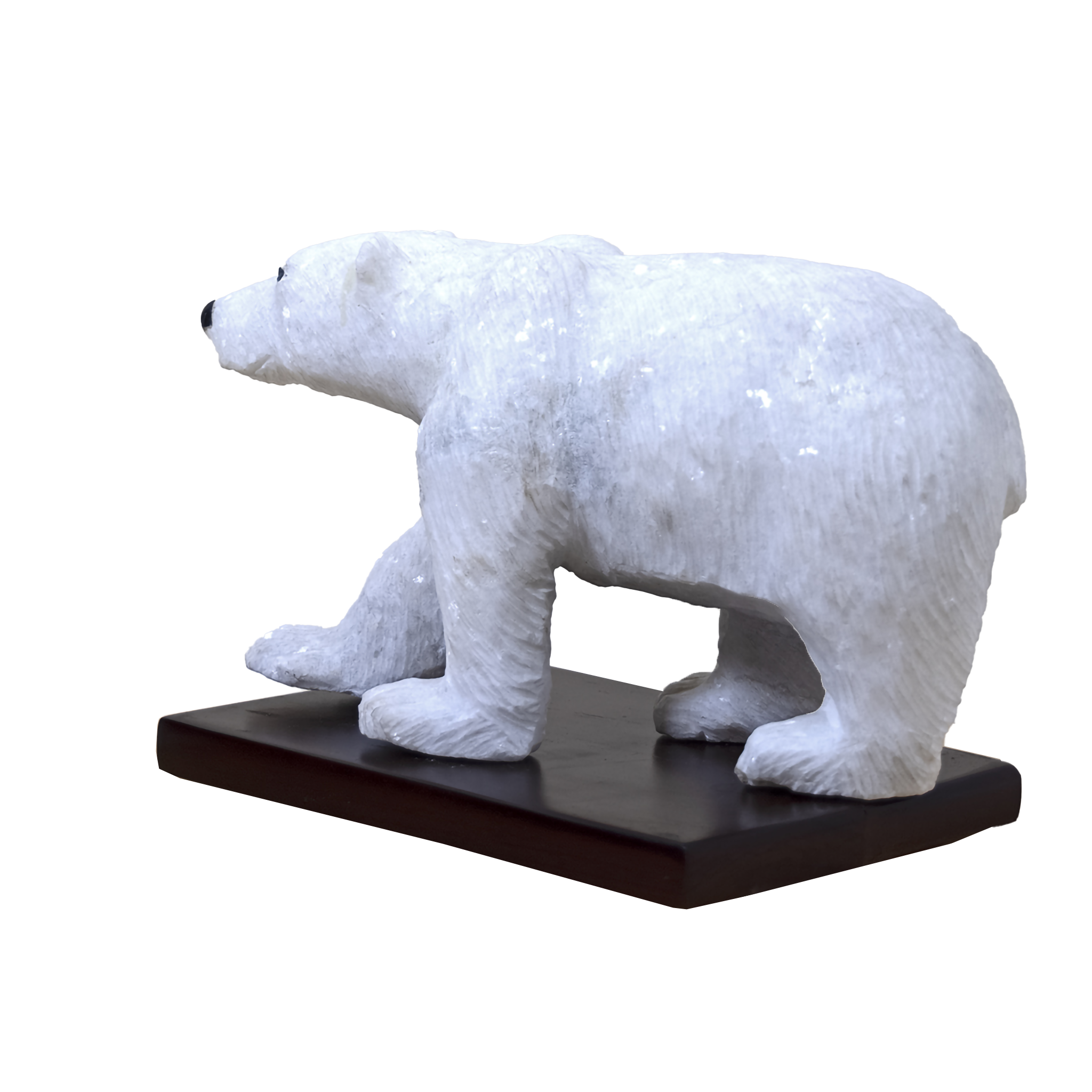 POLAR BEAR