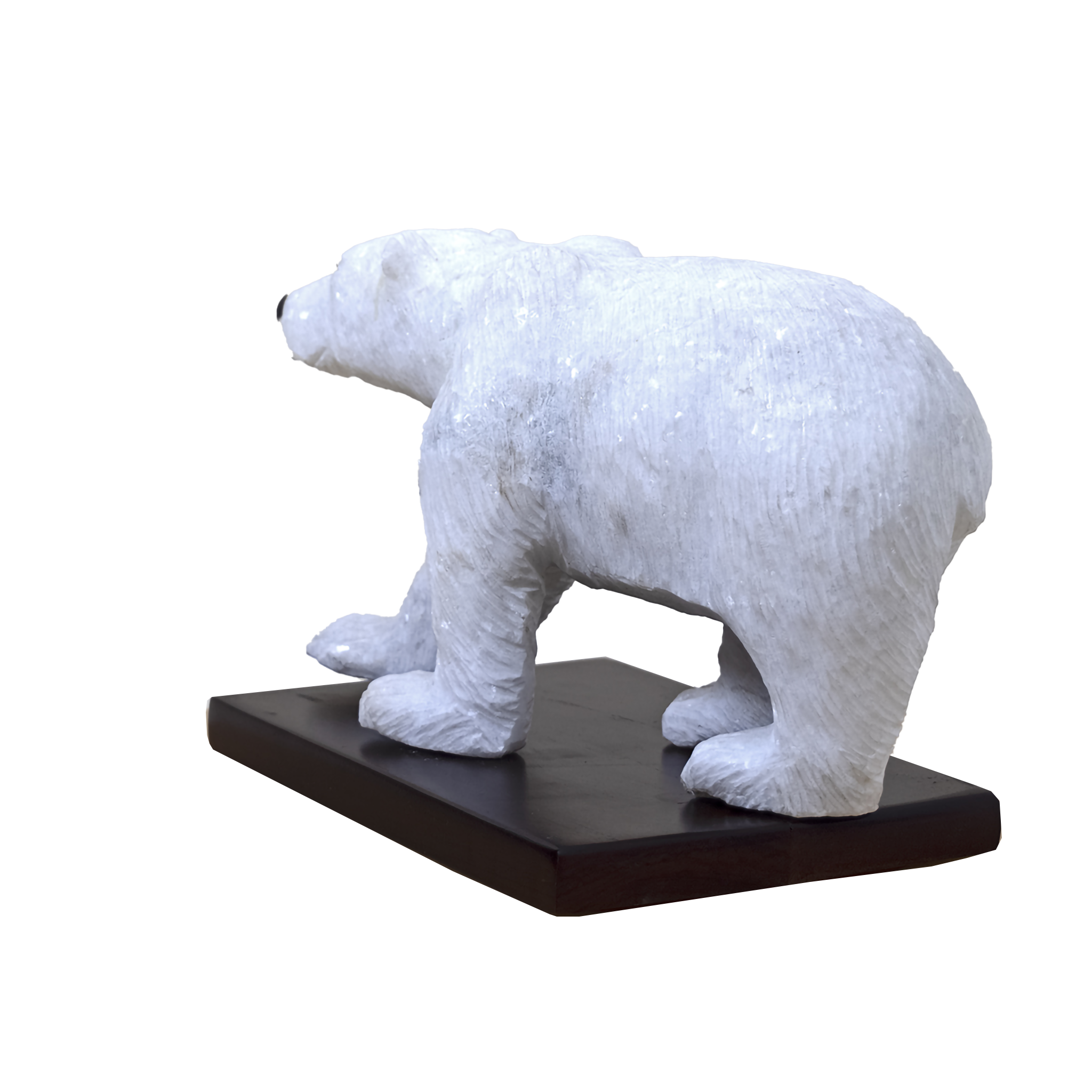POLAR BEAR