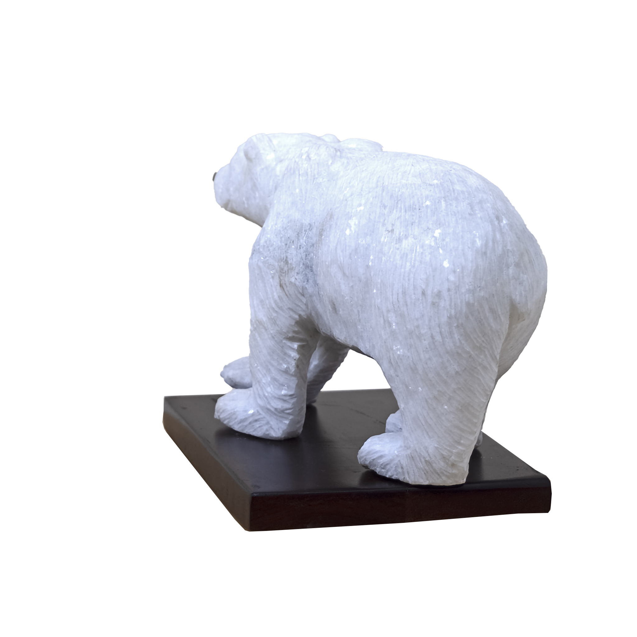 POLAR BEAR