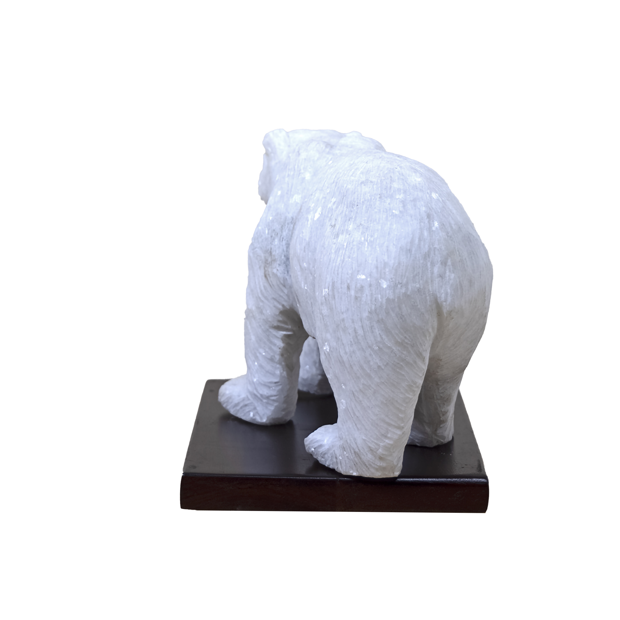 POLAR BEAR