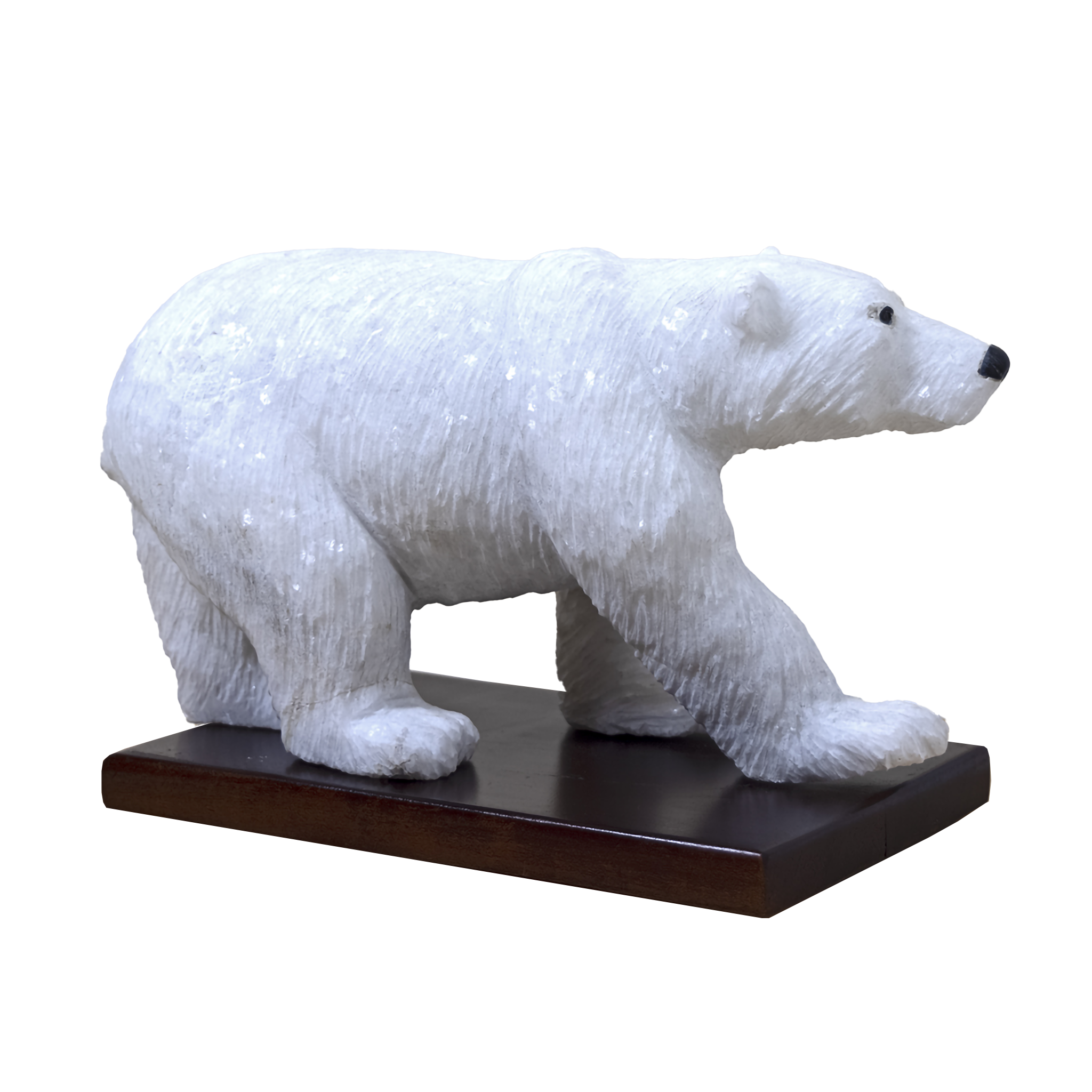 POLAR BEAR