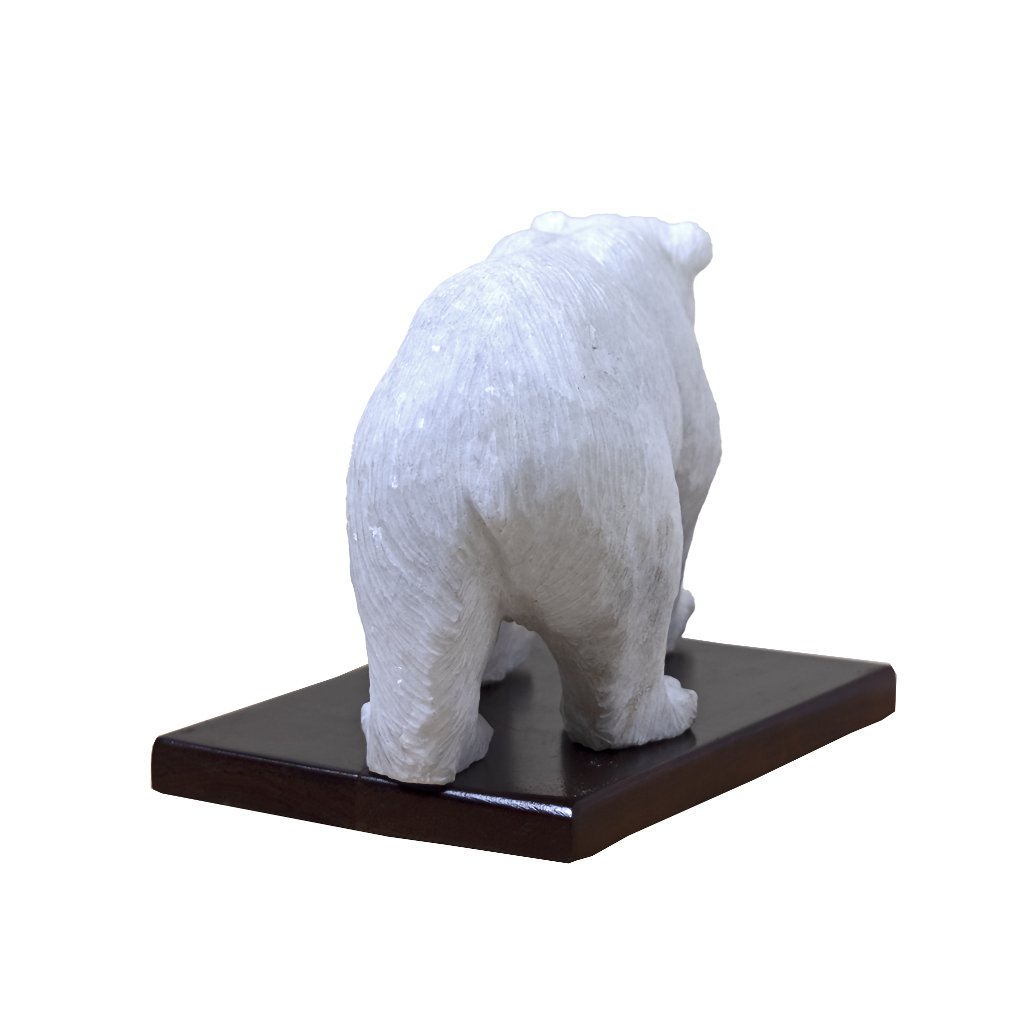 POLAR BEAR