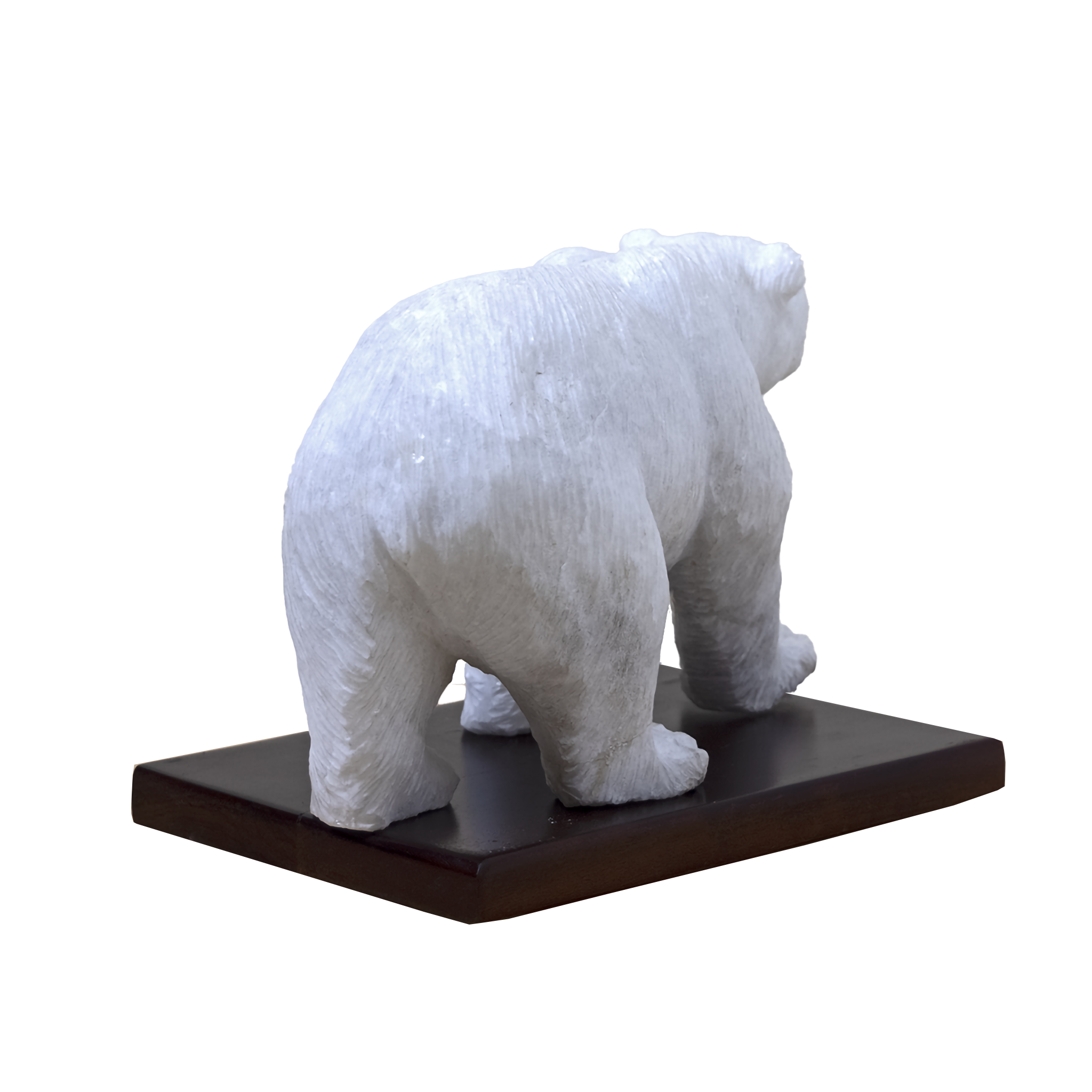 POLAR BEAR