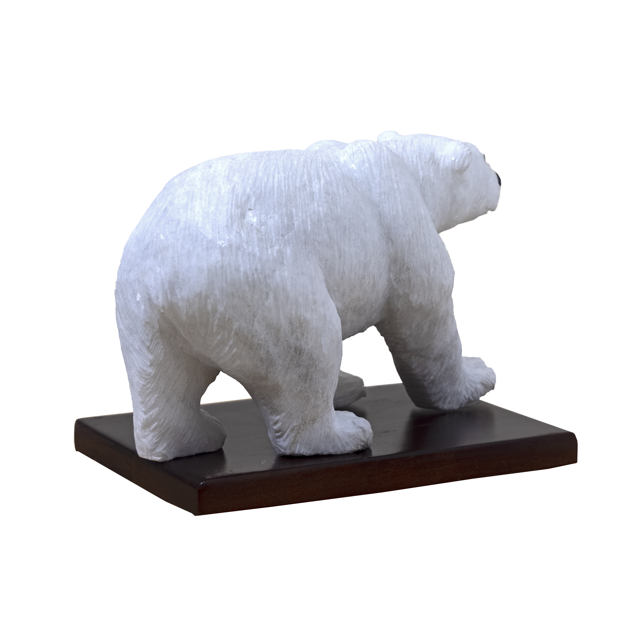 POLAR BEAR