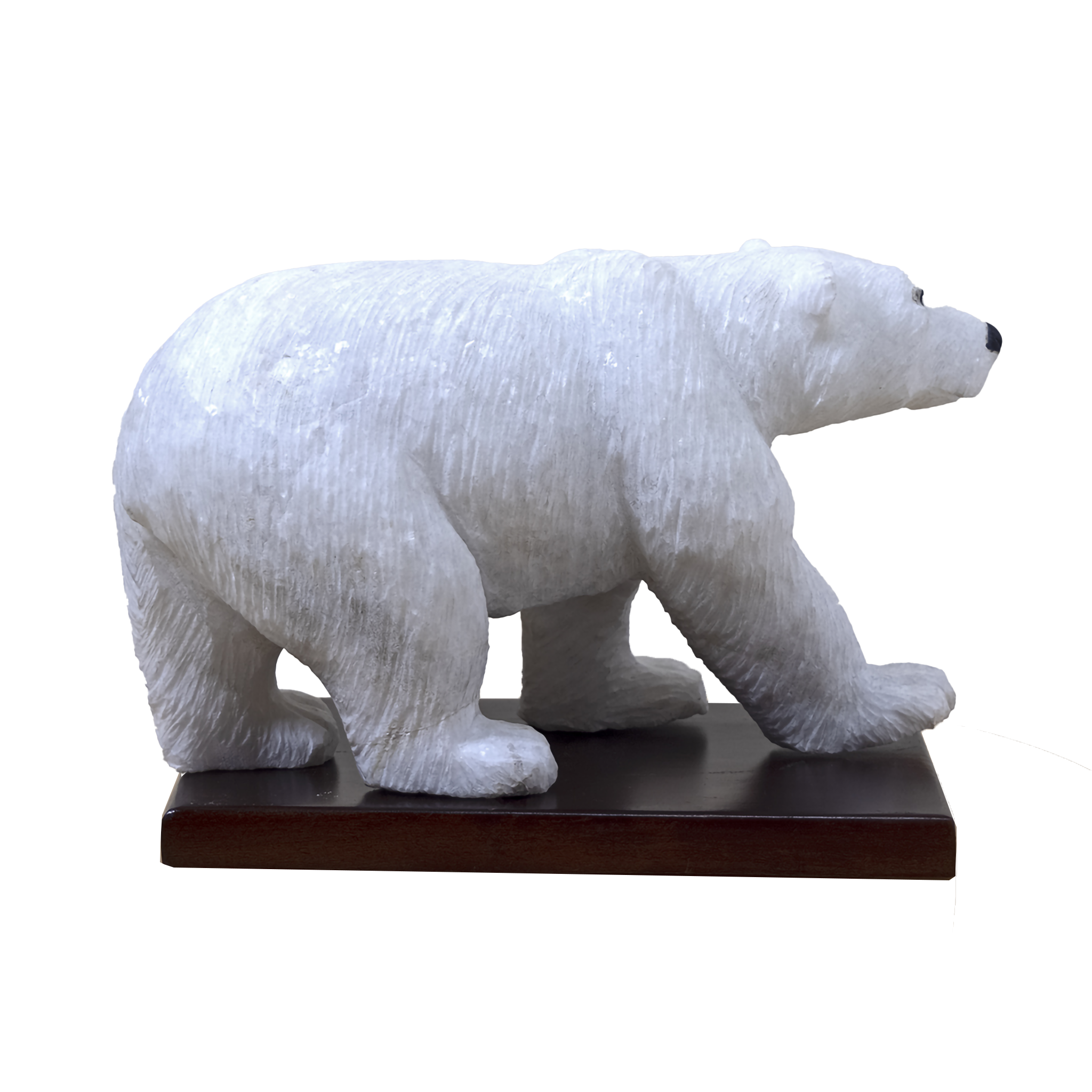 POLAR BEAR
