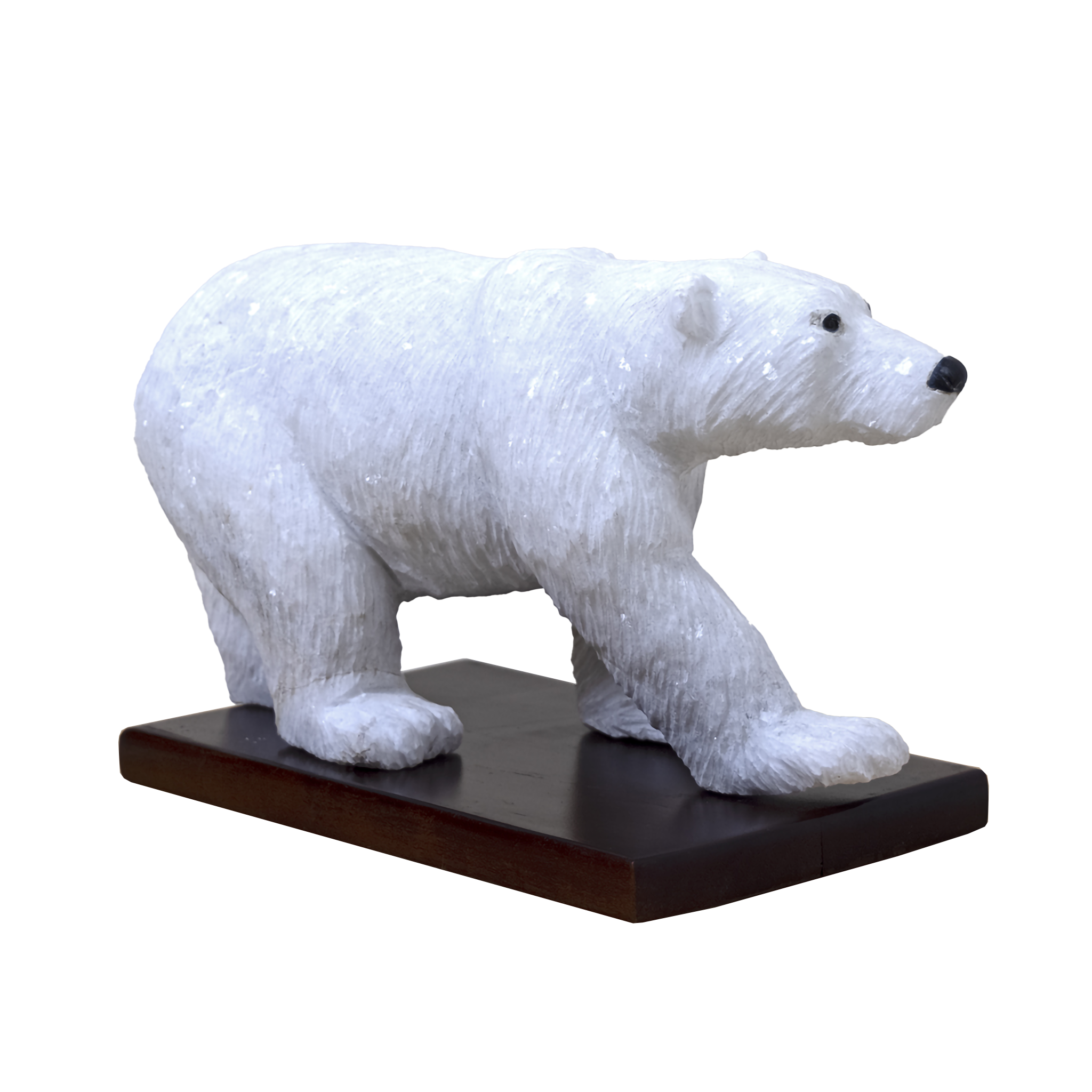 POLAR BEAR