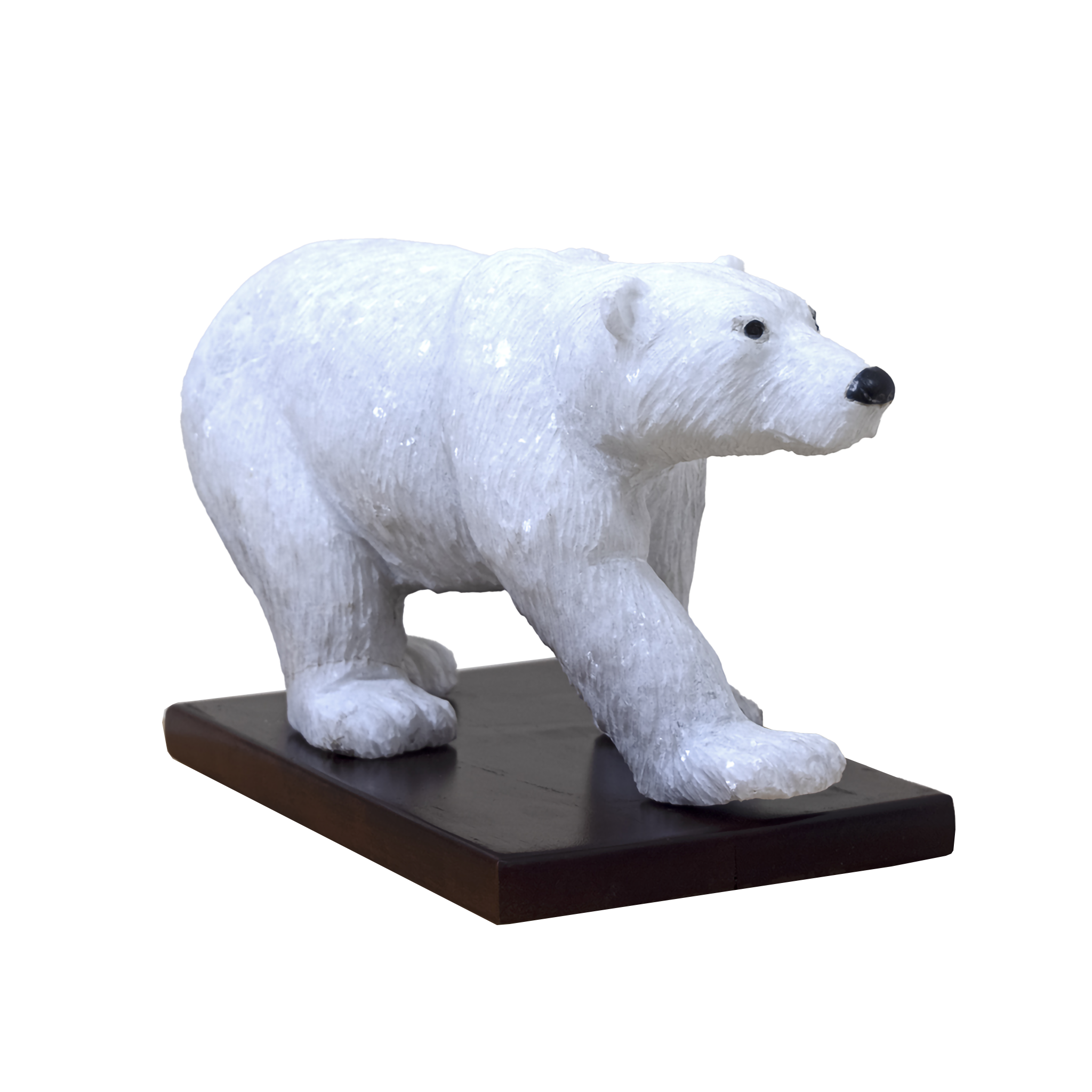 POLAR BEAR