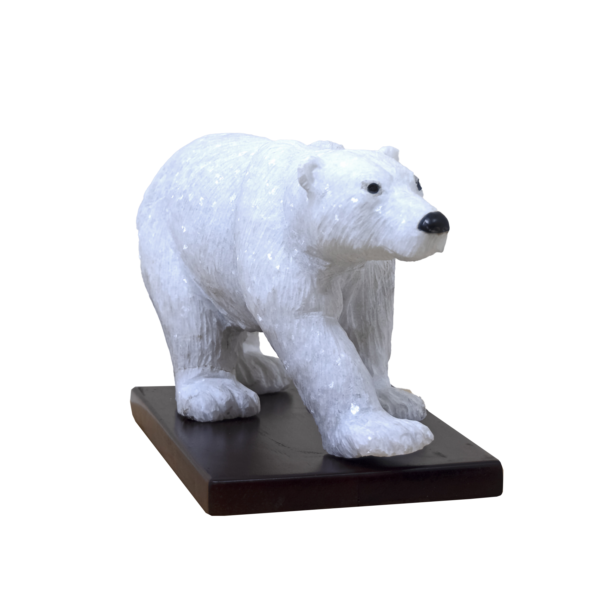 POLAR BEAR