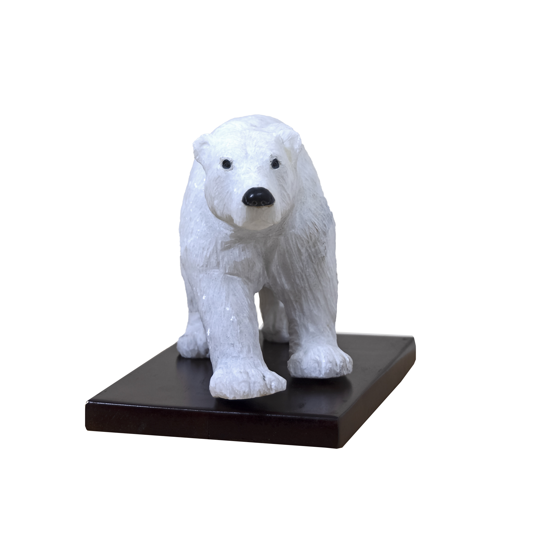 POLAR BEAR